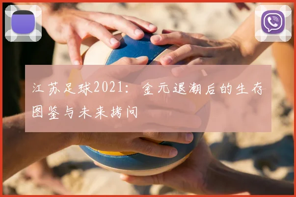 江苏足球2021:金元退潮后的生存图鉴与未来拷问